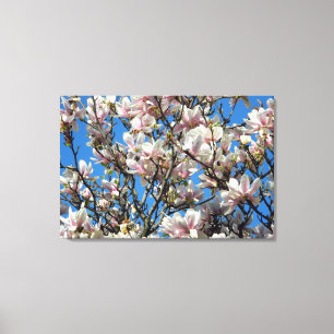 Magnolia Blossoms/Ciel Bleu Toile Enveloppée Impri