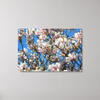 Magnolia Blossoms/Ciel Bleu Toile Enveloppée Impri