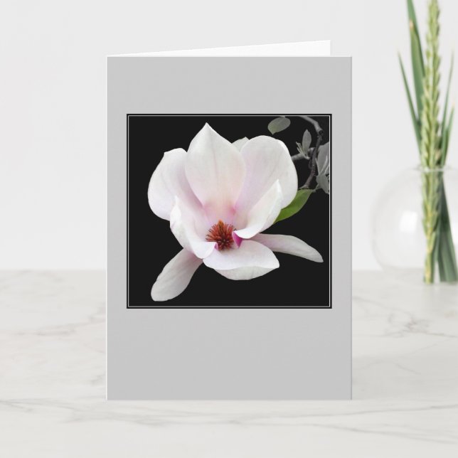 "Magnolia carte de note de blanc en fleur" (Devant)