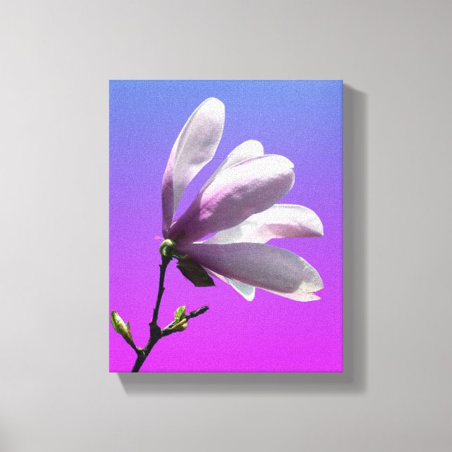 Magnolia Coloré Toile Enveloppée (Recto)