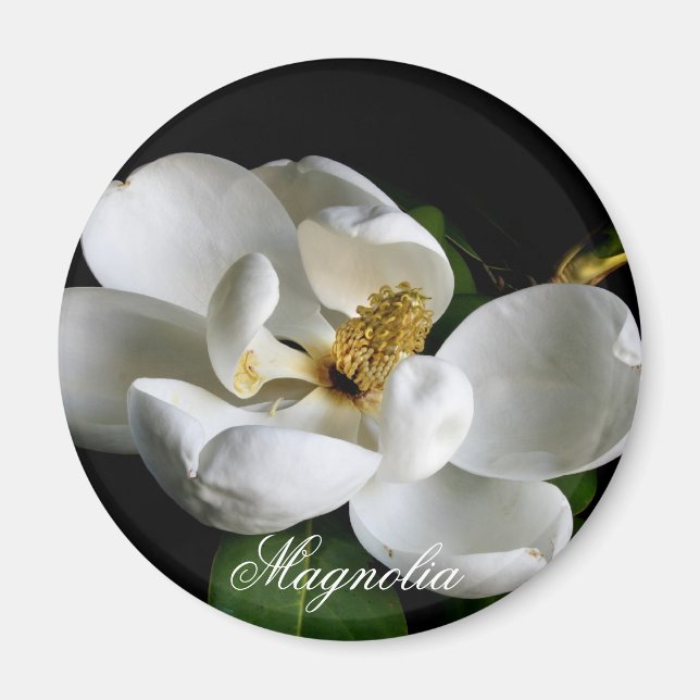 Magnolia Magnet (Devant)