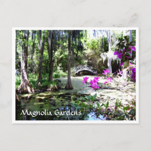 Magnolia Plantation Gardens Charleston SC Carte po