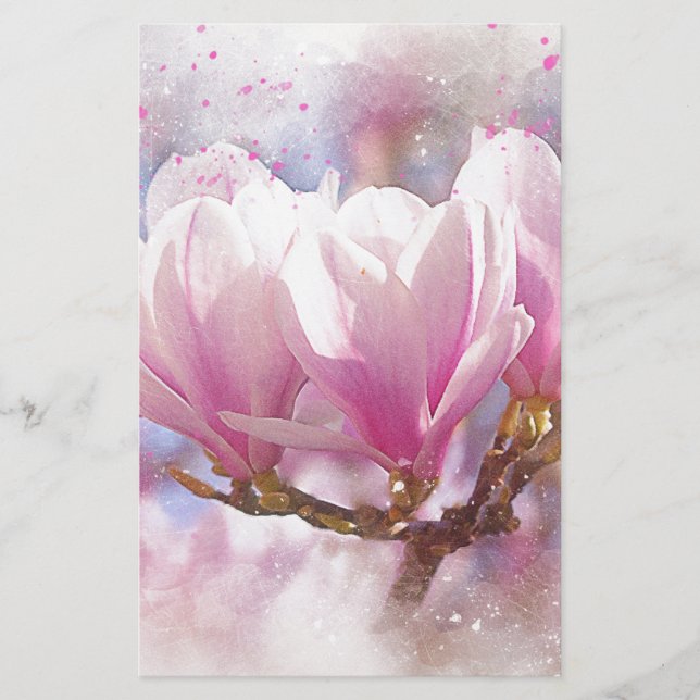 Magnolia rose-pourpre en floraison - Fleur de prin (Devant)