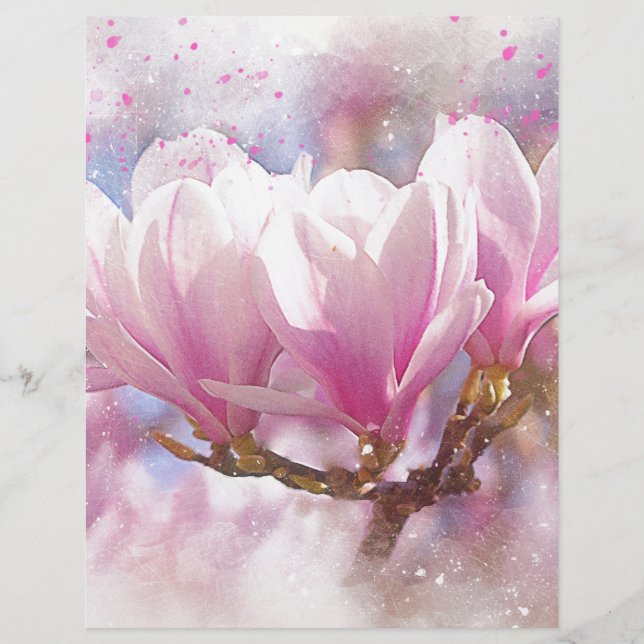 Magnolia Rose Violet en Fleur - Fleur de Printemps (Devant)