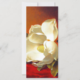 Magnolia sur velours rouge Martin Johnson Heade Ca