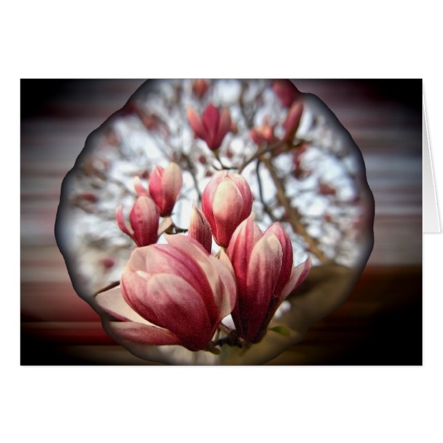 Magnolia Wood (Devant horizontal)