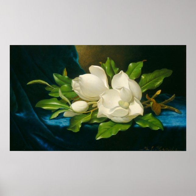 Magnolias - Martin Johnson Heade Poster des Beaux  (Devant)