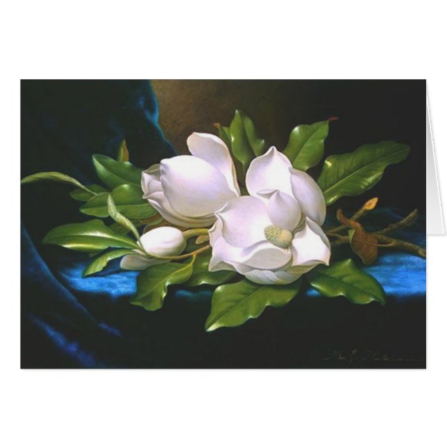Magnolias sur Blue Velvet (Devant horizontal)