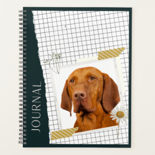 Magyar Vizsla