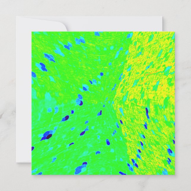 Mahi Mahi Dauphin Poisson Les couleurs de l'art (Devant)