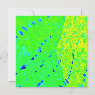 Mahi Mahi Dauphin Poisson Les couleurs de l'art