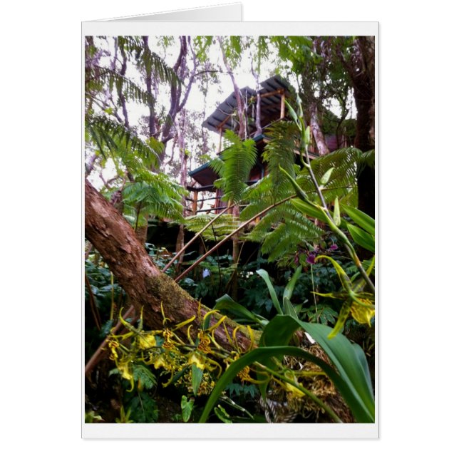 Mahinui Na Lani Treehouse (Devant)