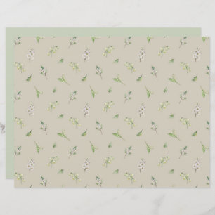 Mai Mois De Naissance Fleur Hawthorn Lily De La Va