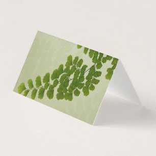 Maiden Hair Fern Frond
