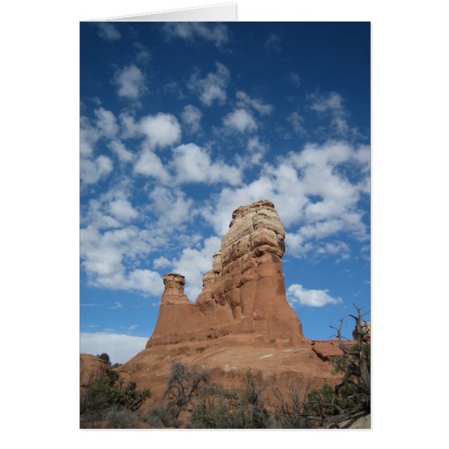 Main des collines (Devant)