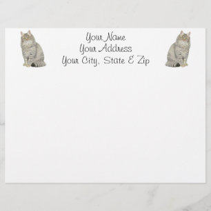Maine Coon