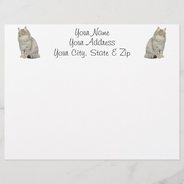 Maine Coon (Devant)