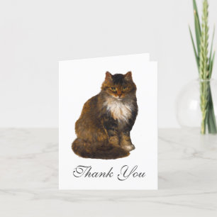Maine Coon Chat Peint Portrait Art Merci