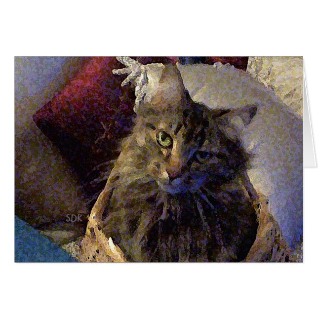 Maine Coon Tabby Cat (Devant horizontal)