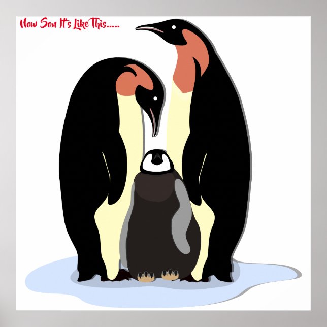 Maintenant Son C'est comme cette affiche (Devant)