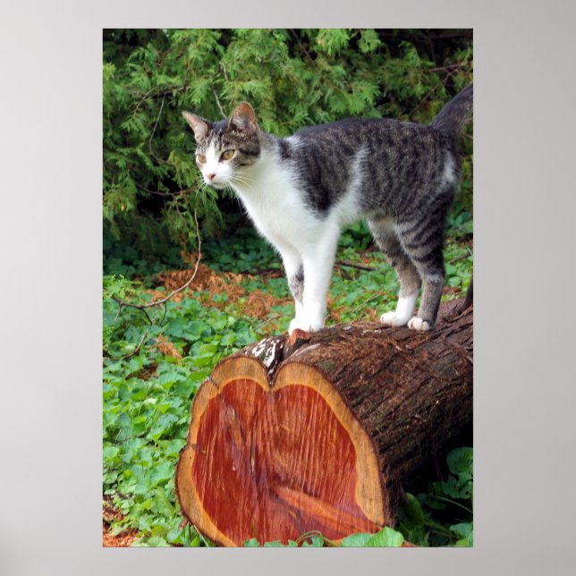 Maintenant Vous Avez Mon Attention - Poster Kitty (Devant)