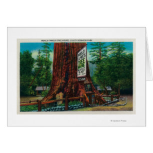 Maison Arbre Célèbre Mondiale, Lilley Redwood Park