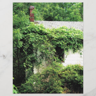 Maison Blanche abandonnée dans les bois