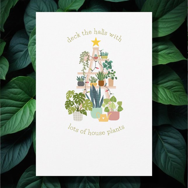 Maison de Noël Plante photo Appartement de vacance (Créateur téléchargé)