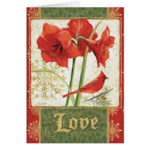 Maison pour l'amour d'amaryllis de Noël