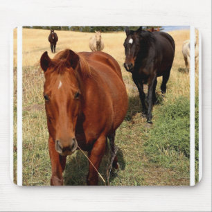 Maison sur le tapis de souris de gamme