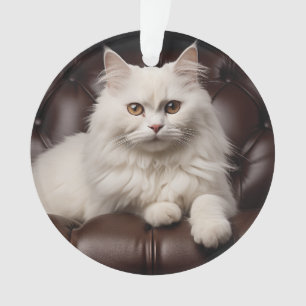 Majestic white cat
