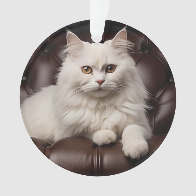 Majestic white cat (devant)