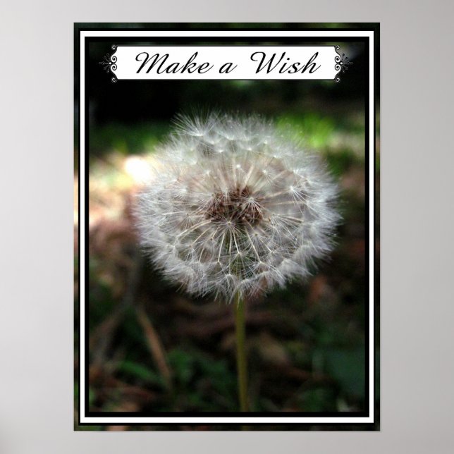 Make a Wish - Poster (Devant)