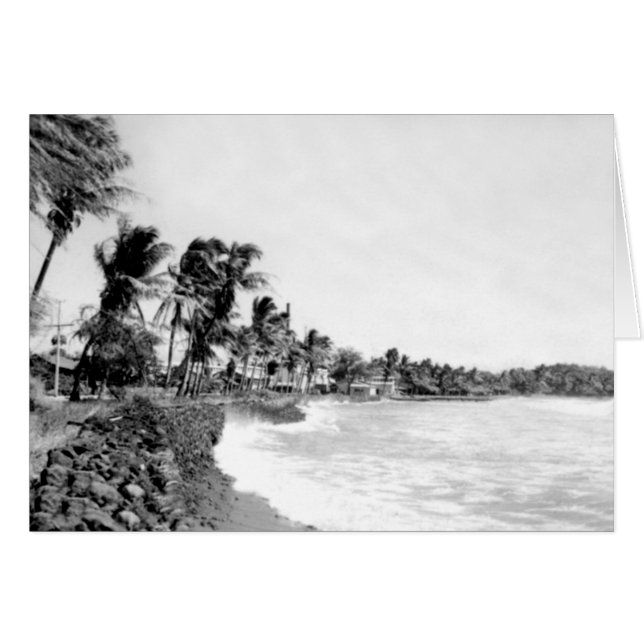 Mala Beach Lahaina Maui Hawaii (Devant horizontal)