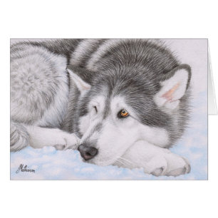Malamute d'Alaska dans la neige