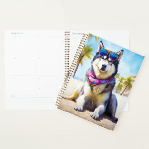 Malamute d'Alaska sur la plage, cadeau d'été