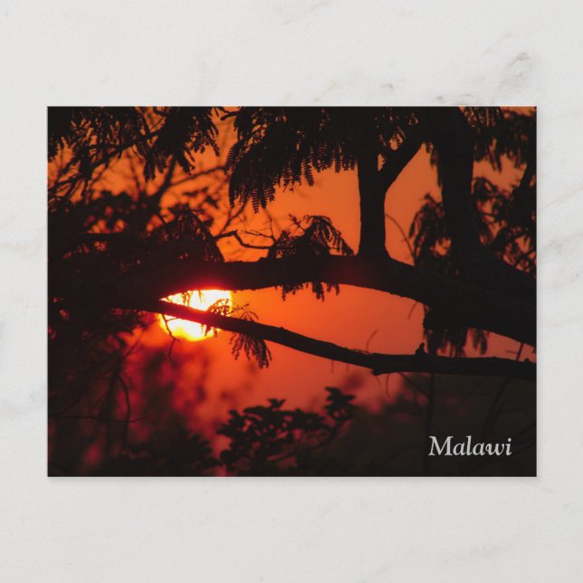 Malawi, Afrique Sunset Carte Postale (Devant)