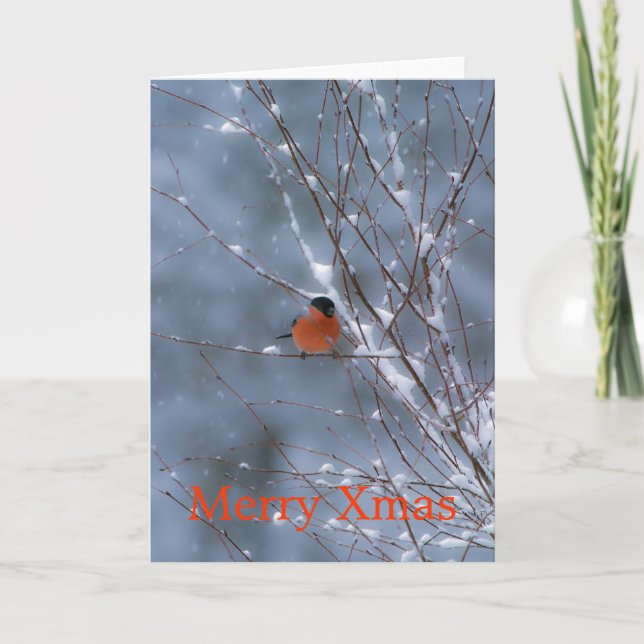 Male Bullfinch dans la carte Joyeux Noël Neige (Devant)