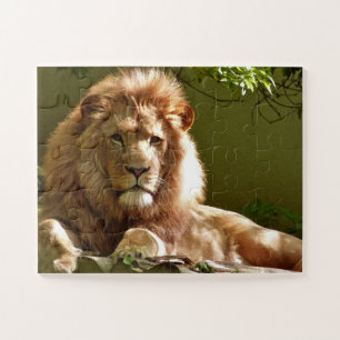MALE LION PHOTOGRAPHIE PUZZLES