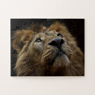 MALE LION RECHERCHE JIGSAW PUZZLE