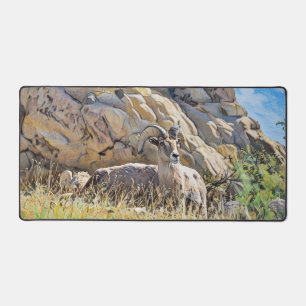 Male Ram Big Horn Sheeps