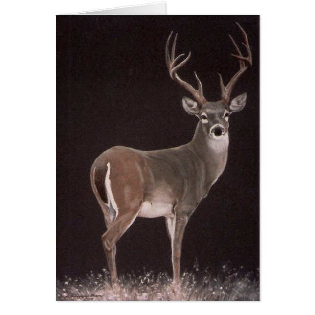 Mâle rêveur (Devant)