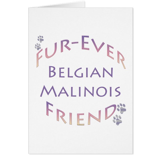 Malinois belge Furever (Devant)