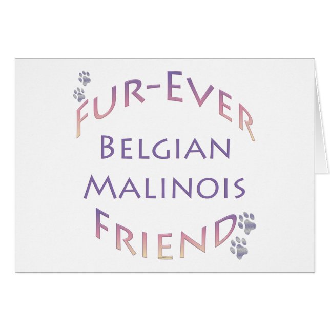 Malinois belge Furever (Devant horizontal)