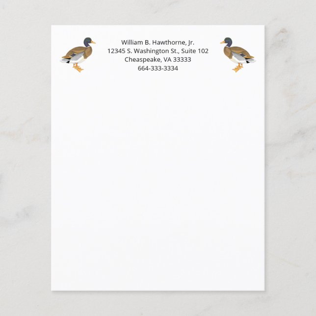 Mallard Canard Oiseau Nature Animaux sauvagine Hom (Devant)