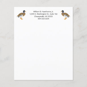 Mallard Canard Oiseau Nature Animaux sauvagine Hom