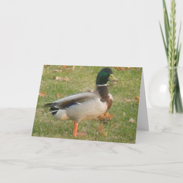 "Mallard de quartier #2" Carte de remerciements (Devant)