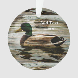 Mallard Duck