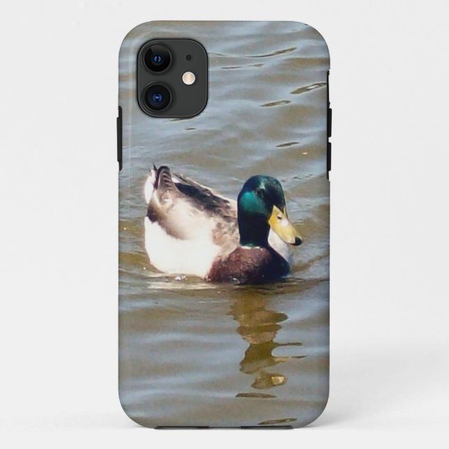 Mallard Duck à peine Il iPhone 5/5S Coque (Dos)