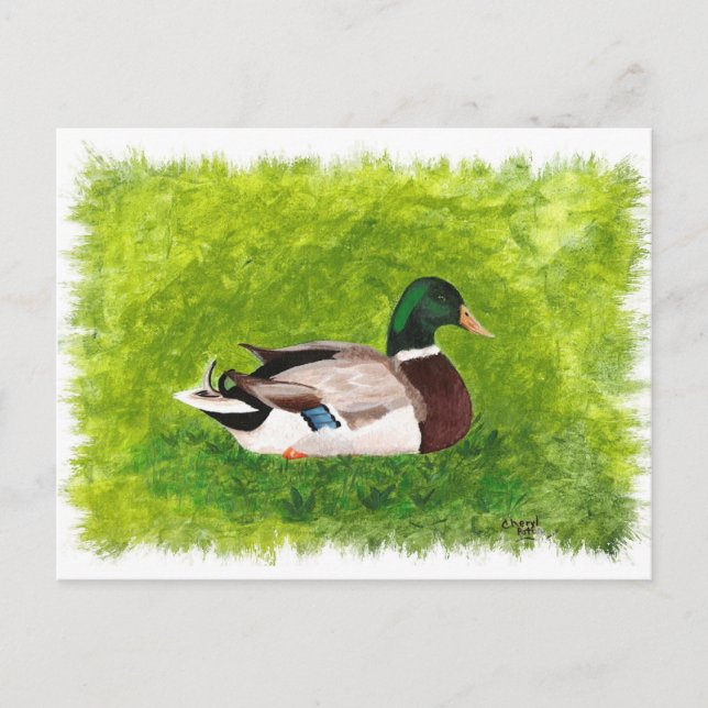 Mallard Duck assis dans les cartes postales en her (Devant)